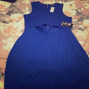NWT Royal Blue Express Dress